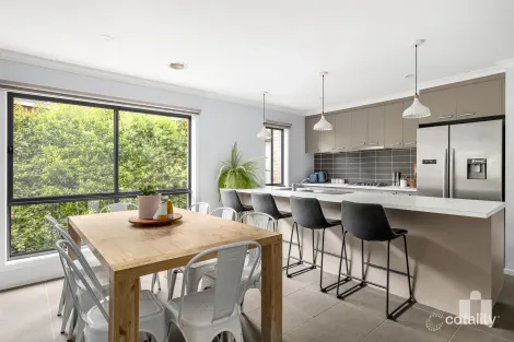 Property photo of 41 Senecio Drive Doreen VIC 3754