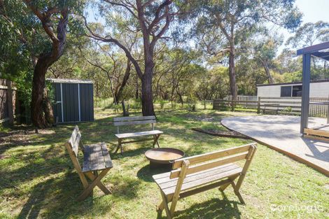 Property photo of 11 Paringa Crescent Anglesea VIC 3230