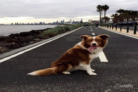 207a/33 Inkerman St, St Kilda, VIC 3182