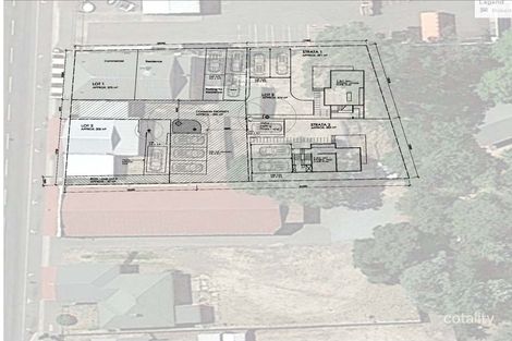 17a Marlborough St, Longford, TAS 7301