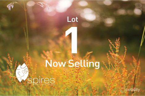 71 Elderberry Dr, Baldivis, WA 6171