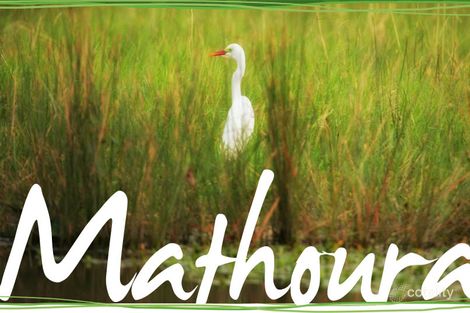 59a Mathoura St, Mathoura, NSW 2710