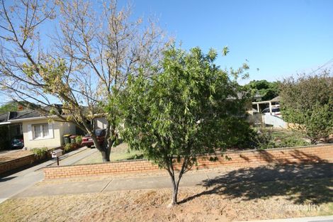 76 Sunshine Ave, Brighton, SA 5048