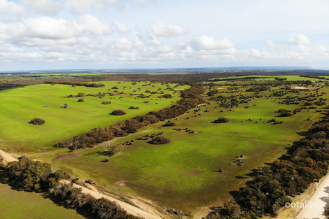 Lot 114 Mcbride Rd, Cassini, SA 5223