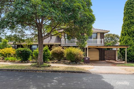 Property photo of 35 Clive Crescent Darling Heights QLD 4350