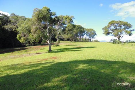 Property photo of 226 Davies Road Malanda QLD 4885