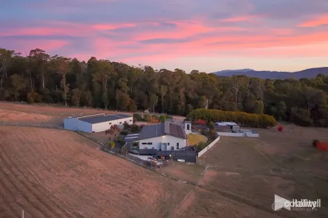 Property photo of 93 Shaw Street Latrobe TAS 7307