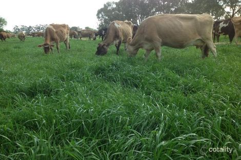 204 Adams Rd, Katunga, VIC 3640