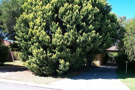 96 Shillington Way, Thornlie, WA 6108