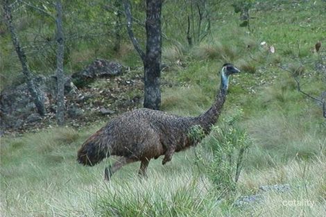 Property photo of 311 Burnt Flat Road High Range NSW 2575