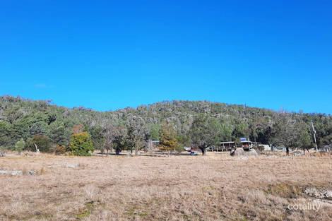 1047 Limestone Rd, Ashford, NSW 2361