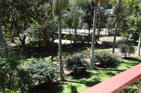 Property photo of 7 Beechtree Road Black Mountain QLD 4563