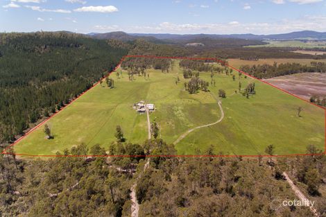 315 Felmingham Rd, Parkham, TAS 7304