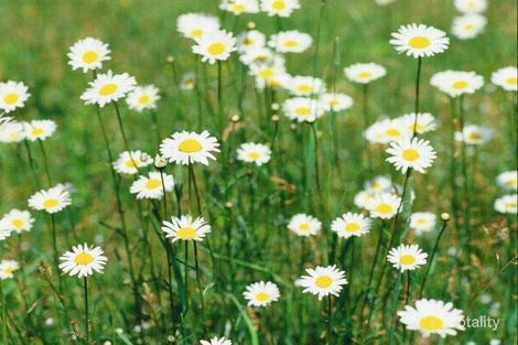 9 Wodalla Cct, Sandhurst, VIC 3977