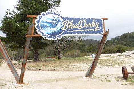 6 Allan St, Derby, TAS 7264