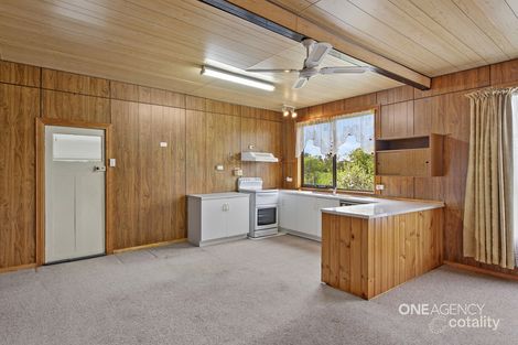 Property photo of 224 Comeback Road Redpa TAS 7330