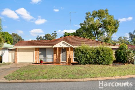 Property photo of 31 Donkey Orchid Turn Greenfields WA 6210