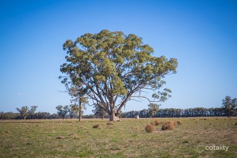 3335 Warren Rd, Gin Gin, NSW 2823