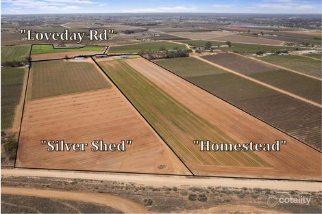 Property photo of 121 Elephant Trunk Road Cobdogla SA 5346