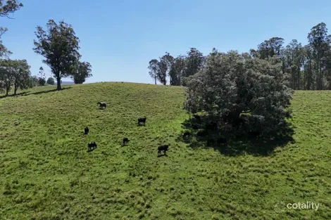 Property photo of 2/310 Yessabah Road Yessabah NSW 2440