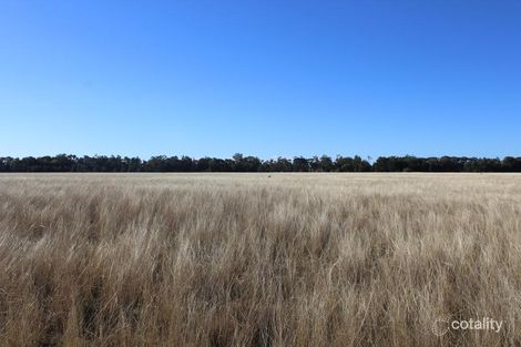 343 Merton Rd, Yelarbon, QLD 4388