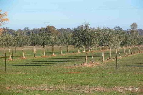 Property photo of 121 Corona Road Corowa NSW 2646