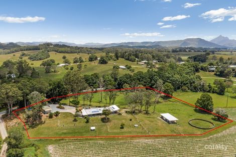 353 Reserve Creek Rd, Kielvale, NSW 2484