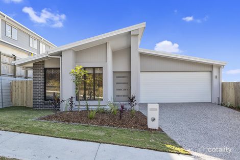 43 Applecross Cct, Spring Mountain, QLD 4300
