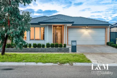 11 Nineveh Rd, Craigieburn, VIC 3064