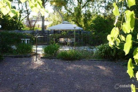 Property photo of 35 Memorial Avenue Keith SA 5267