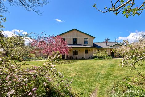 Property photo of 776 McKays Road Blumont TAS 7260