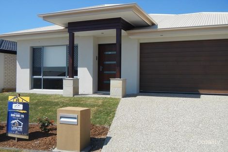 16 Cobblestone Ave, Logan Reserve, QLD 4133