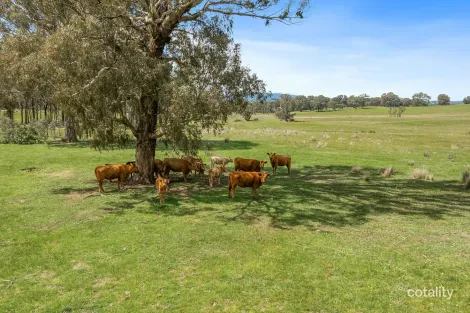 46 Lemins Rd, Merton, VIC 3715