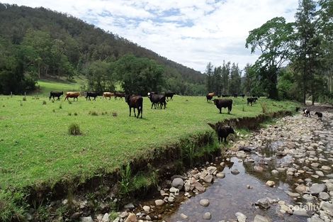 610 Pappinbarra Road Left Arm, Upper Pappinbarra, NSW 2446