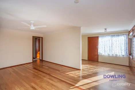 Property photo of 13 Grey Gum Street Medowie NSW 2318