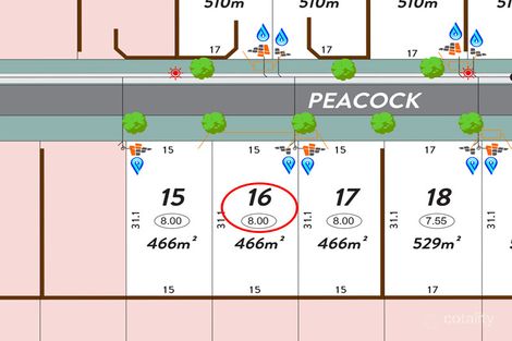 Property photo of 16 Peacock Avenue Singleton WA 6175