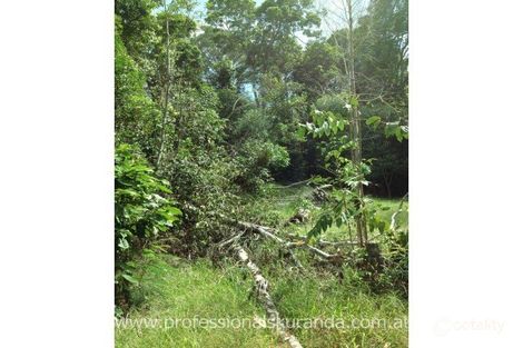 Property photo of 3 Saddle Mountain Road Kuranda QLD 4881
