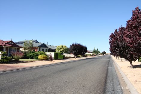 Property photo of 4 Eime Drive Loxton SA 5333