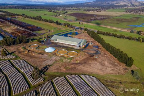 133 Powranna Rd, Powranna, TAS 7300