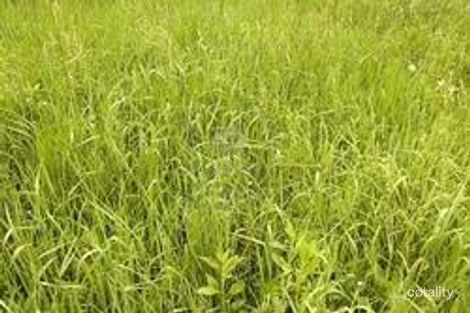 16 Zacara Ct, Deer Park, VIC 3023