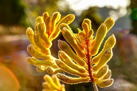 Lot 145/145 Torbay St, Midvale, WA 6056