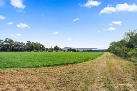 Property photo of 49 Terara Road Terara NSW 2540