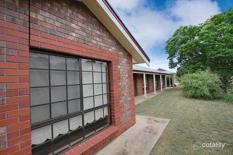 Property photo of 167 Derrick Road Loxton North SA 5333