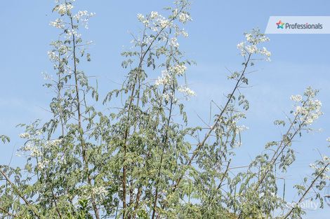 4 Dickson Dr, Middle Swan, WA 6056