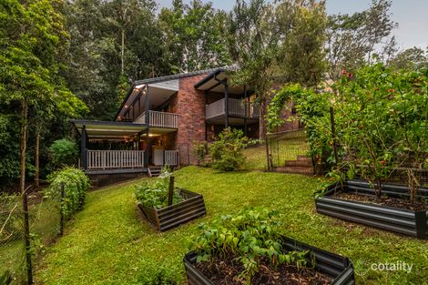 Property photo of 3 Tamarind Close Richmond Hill NSW 2480