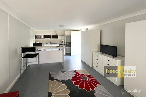 58 Havelock St, Mayfield, NSW 2304