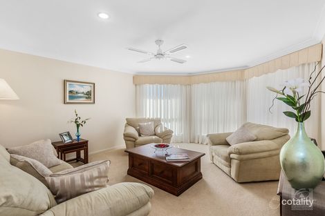 Property photo of 3 Lamington Way Murwillumbah NSW 2484