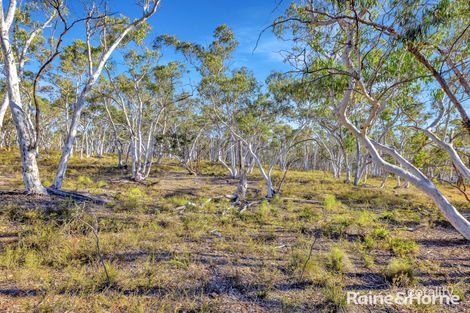 Property photo of LOT 1 Hill End Road Hill End NSW 2850