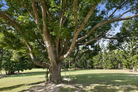 Property photo of 664 Currumbin Creek Road Currumbin Valley QLD 4223