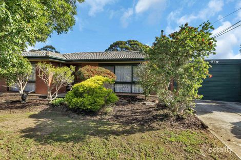 Property photo of 16 Caroona Avenue Modbury Heights SA 5092